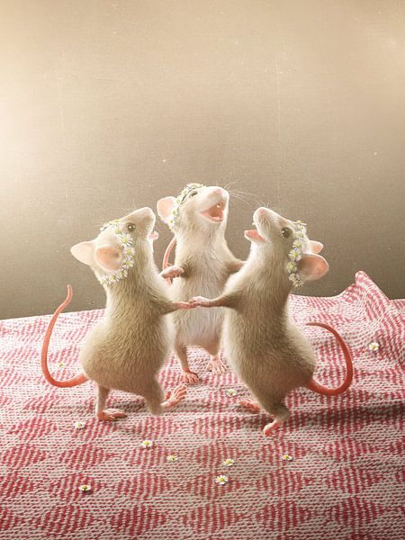 Drie muizen dansen op de tafel van Torsten Lass