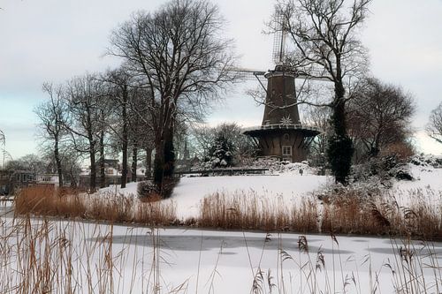 Welke stad is dit?