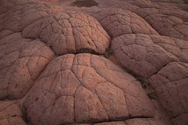 White Pocket, Vermilion Cliffs National Monument, Arizona von Frank Fichtmüller