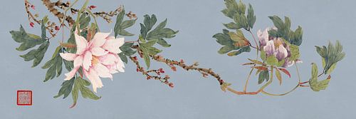 Chinese painting,Peony schilderen, Chinese Peony Art