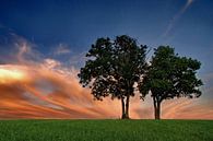 Together by Ron de Poorter thumbnail