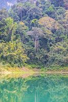 Jungle au bord de l'eau Khao sok, Thaïlande