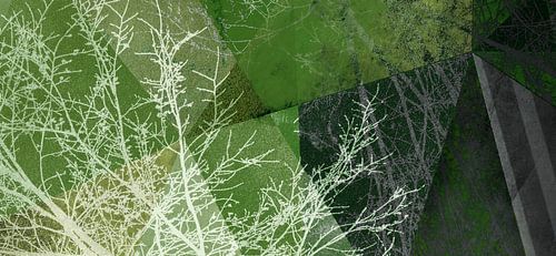 P19-E4-P BOMEN EN DRIEHOEKEN