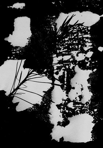 Abstracte zwart witte natuur