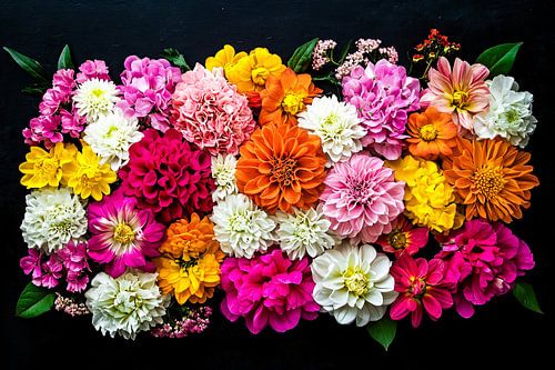 Kleurrijke bloemen op donkere achtergrond