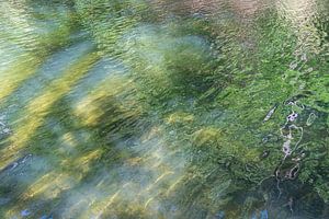 Sommerliche Spiegelung am See 4