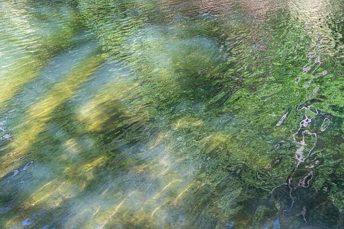 Zomerse weerspiegeling op het meer 4