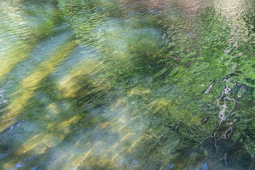 Reflet estival au bord du lac 4 par Adriana Müller