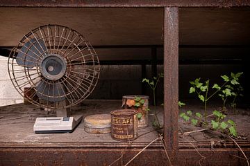 Rusted Fan by Vivian Teuns