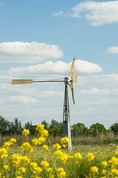 Windmill in Meadow with Yellow Flowers by Tony Buijse