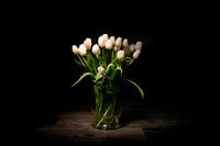 Tulipes