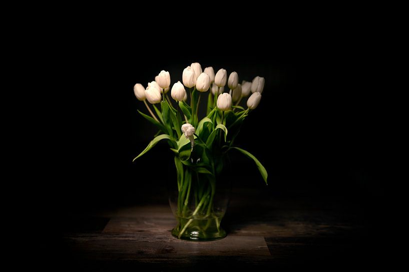 Tulipes par mandy vd Weerd