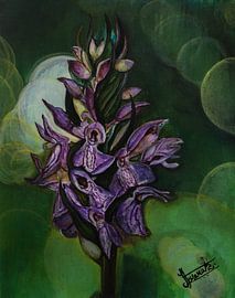 Wild field flowers by Henk Goossens