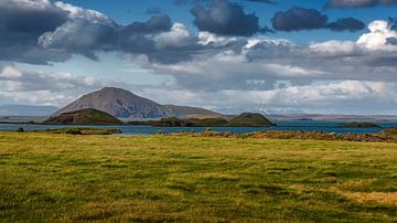 Mosquito Lake Myvatn by Thomas Heitz