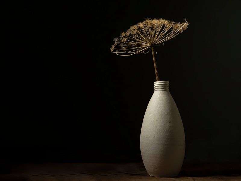 Nature morte Berce du Caucase séchée dans une jarre en pierre par Anja den Bok