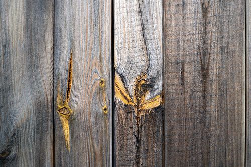 houten paneel met herfstachtige bladeren