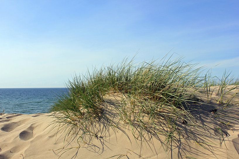 Maidünen van Ostsee Bilder