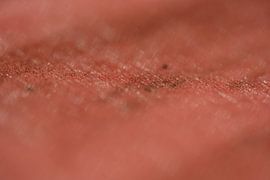 papier teinté rouge sur Eduard de Kam