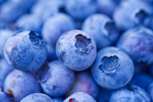 Vers geplukte bosbessen II