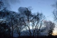 Evening in February 