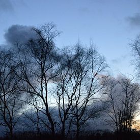 Abend im Februar  von Gera Wijlens