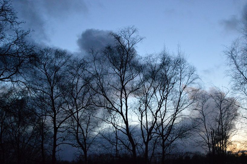 Evening in February  by Gera Wijlens