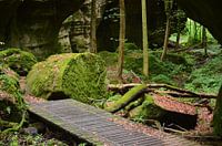 Natuur