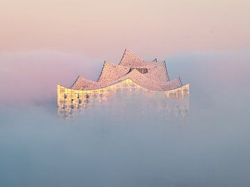 Elbphilharmonie Hamburg im Nebel von Nils Steiner