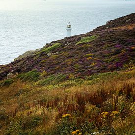 South Stack Lighthouse mit der Irischen See im Hintergrund von Jeroen Berends