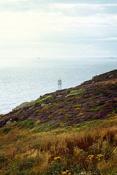 South Stack Lighthouse mit der Irischen See im Hintergrund