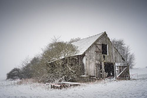 Old field barn in driving snow