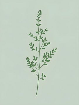 Zarter Kräuterzweig von Giandra Safaraz
