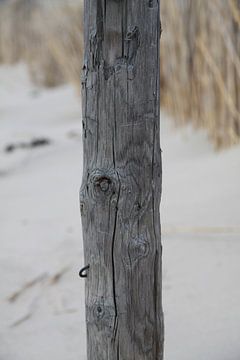 hout in het zand van Spijks PhotoGraphics