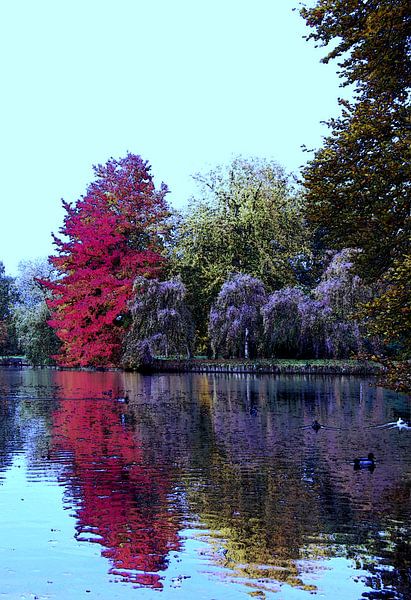 Herbst Bild von Greta Lipman
