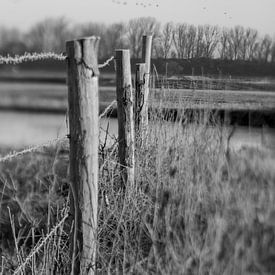 Ooijpolder in de winter | zwart-wit | Lensbaby van Gabry Zijlstra