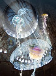 Full moon at the Blue hole IV by Dray van Beeck