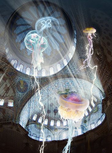 Pleine lune au Blue hole IV