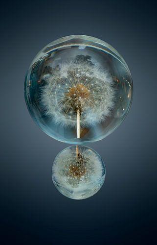 Pluisjes in een bal. 7