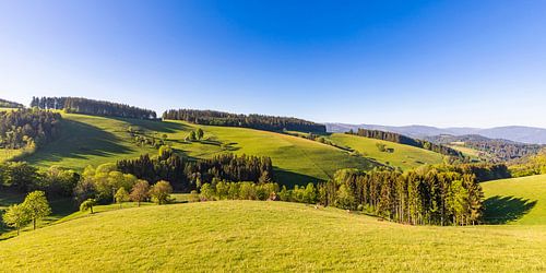 Upper Black Forest near St. Peter in spring by Werner Dieterich