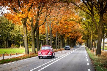 Classic cars during autumn by Sem Wijnhoven