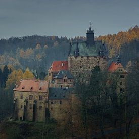 Burg Kriebstein von Ronny Rohloff