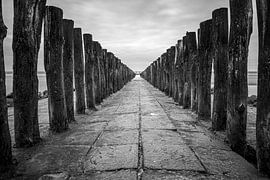 Im Wellenbrecher von Albert Mendelewski