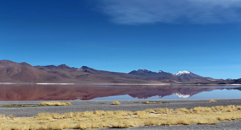 Boliviaans landschap van Marieke Funke