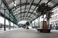 Perron treinstation 's-Hertogenbosch van Marga Meesters thumbnail