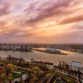 Skyline Rotterdam van Robbert Ladan