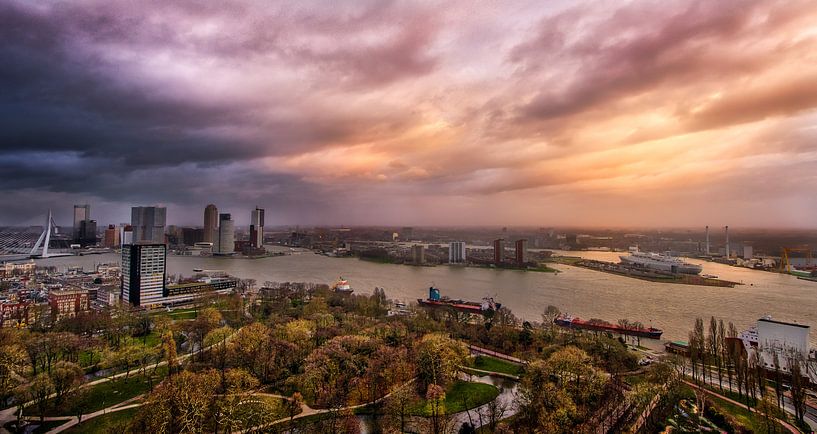 Skyline Rotterdam von Robbert Ladan