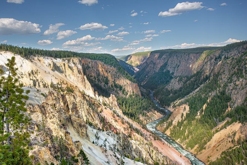 Le grand Canyon de Yellowstone.... par Kris Hermans