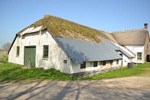 vervallen boerderij op landgoed marienwaard in gelderland