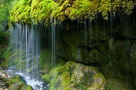 Moosbedeckter Wasserfall von Jürgen Wiesler