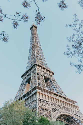 Eiffel Tower Paris in spring